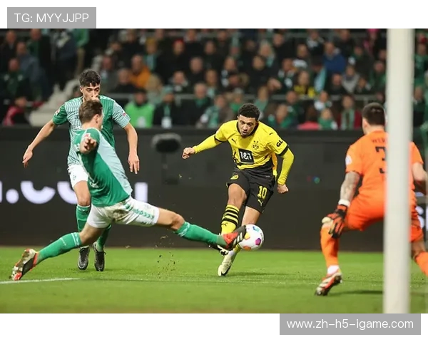 多特蒙德与不莱梅精彩对决全场录像回放及精彩瞬间分析